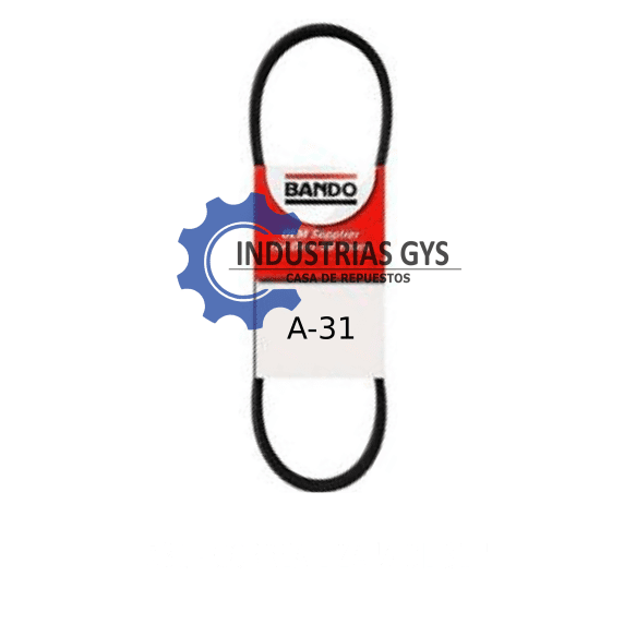CORREA LIZA DE 1/2 X 31"