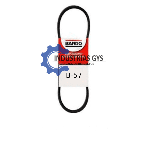 CORREA LIZA DE 5/8 X 57"