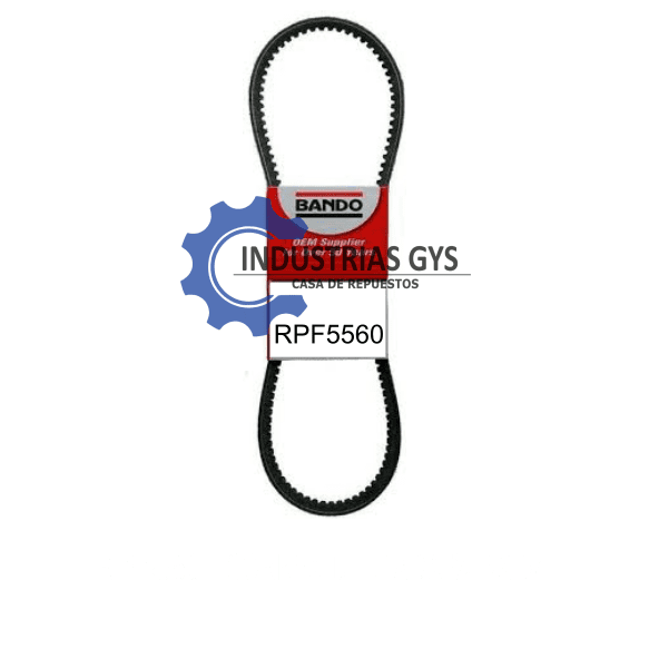 CORREA DENTADA 5/8 BX-54